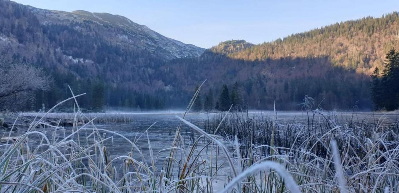 Ledererhof Lunz Am See Eksteriør bilde
